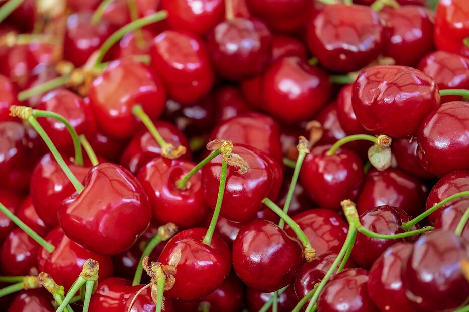 Las cerezas están disponibles de junio a agosto.