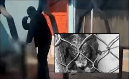 Por maltrato animal en CDMX, un agresor podría ir hasta 10 años a la cárcel