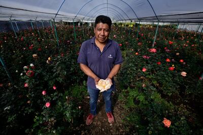 Floricultoristas de Xochimilco se preparan para las ventas de San Valentín