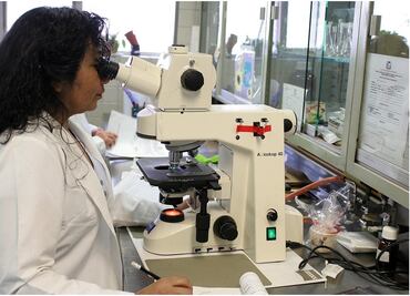 IMCO detecta nulas oportunidades para que mujeres estudien carreras de ciencia y tecnología