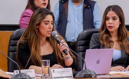Diputada María Teresa Ealy logra frenar dictamen sobre tentativa de feminicidio; Comisión de Justicia lo retorna para modificarlo