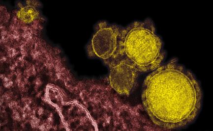 Luz ultravioleta mata al coronavirus sin dañar a personas: estudio