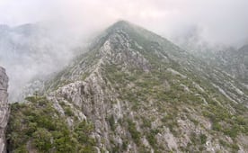 Reanudan combate a incendio en el Cerro del Fraile; rayo habría provocado el fuego en Nuevo León