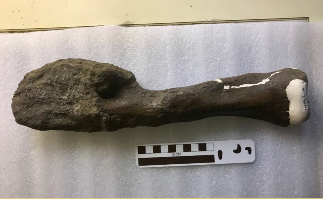 Foto: brighterworld.mcmaster.ca