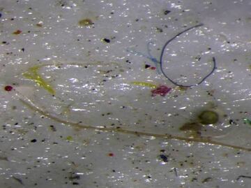 Microplastic pollution reaches the Arctic