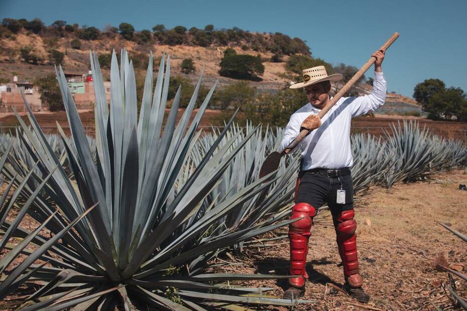 Foto: Tequila Express