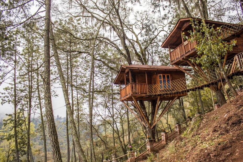 Foto: Cabañas Kali-Tree
