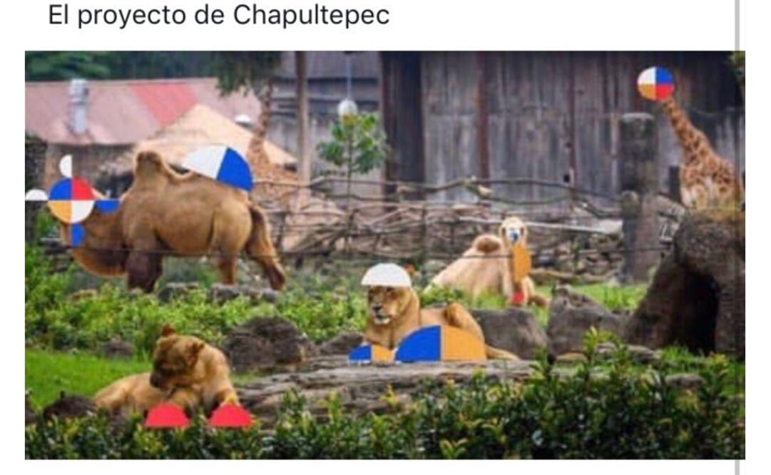 Foto: Twitter