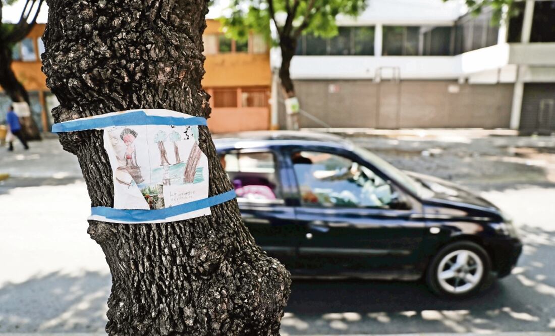 Vecinos, sobre todo de la GAM, han externado su preocupación por el derribo de árboles por el trazo de la nueva ruta del Metrobús (ARCHIVO EL UNIVERSAL)