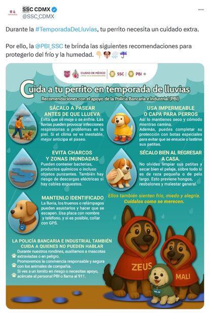Esta temporada de lluvias no olvides cuidar y proteger a tu perrito, estas son algunas recomendaciones. Foto: X @SSC_CDMX