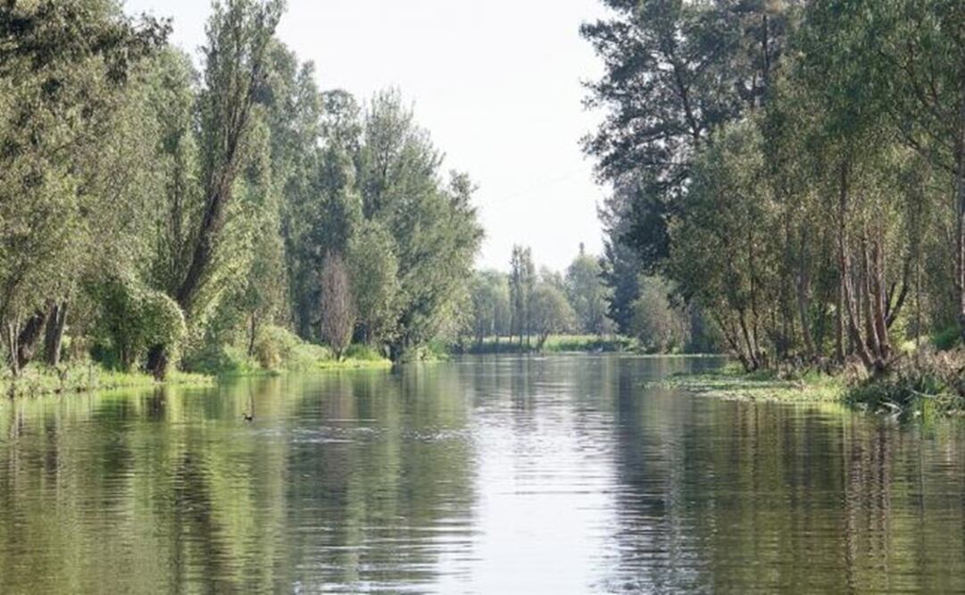 Médico en Tu Casa llegará en lancha a Xochimilco