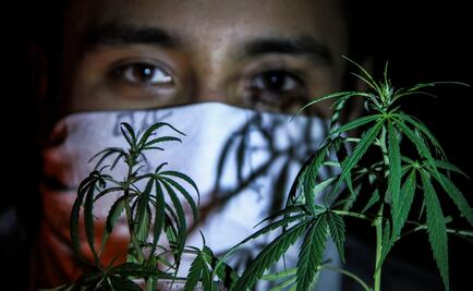 Pide NYT a Obama regular uso de mariguana tras fallo en México