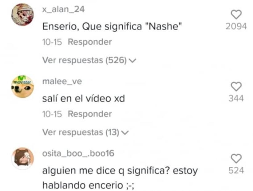 ¿Cuál es el significado de la palabra 'nashe' en TikTok?