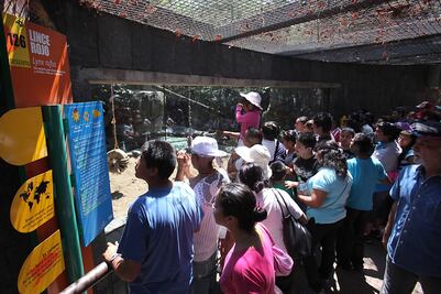 Alistan rehabilitación de zoos de Chapultepec y San Juan de Aragón