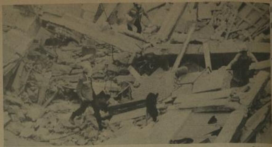 Antes de Frida: los héroes caninos del 85