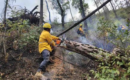 Américo Villarreal lamenta accidente en Santiago, Nuevo León; ofreció todo el apoyo que se requiera