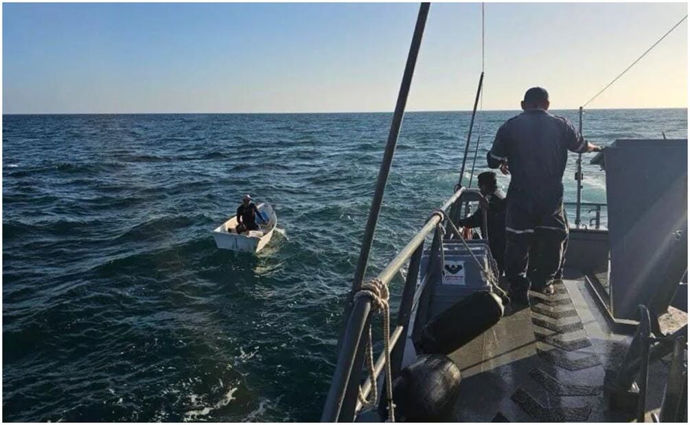 La Policía Ecológica resguardó a las tortugas y posteriormente las devolvió al mar. Foto: Especial
