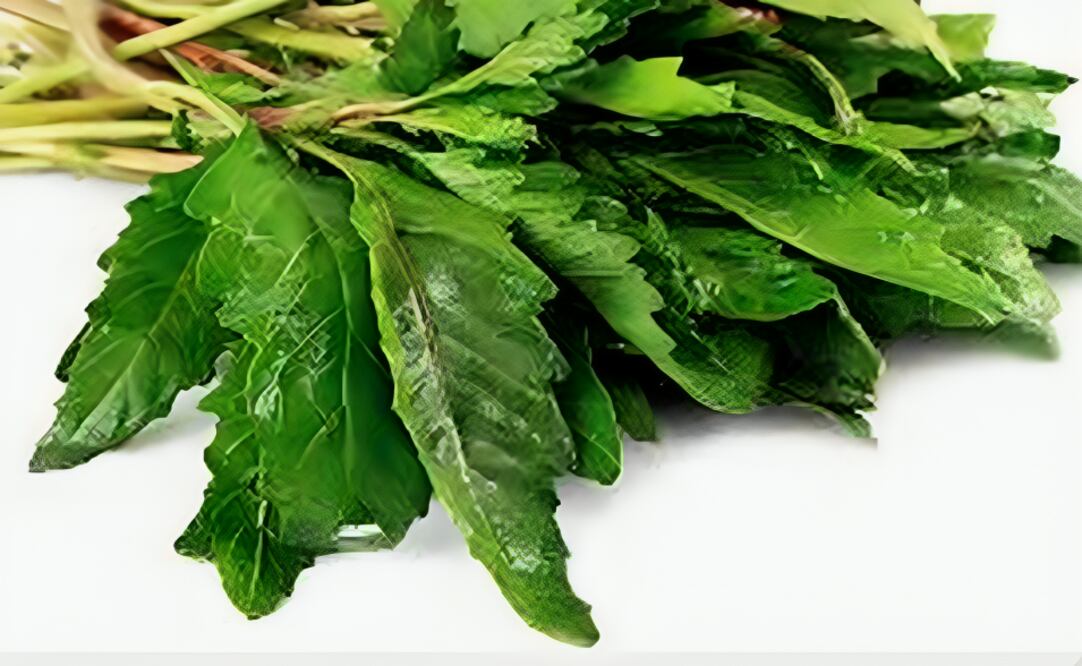 Epazote. Foto: Redes sociales