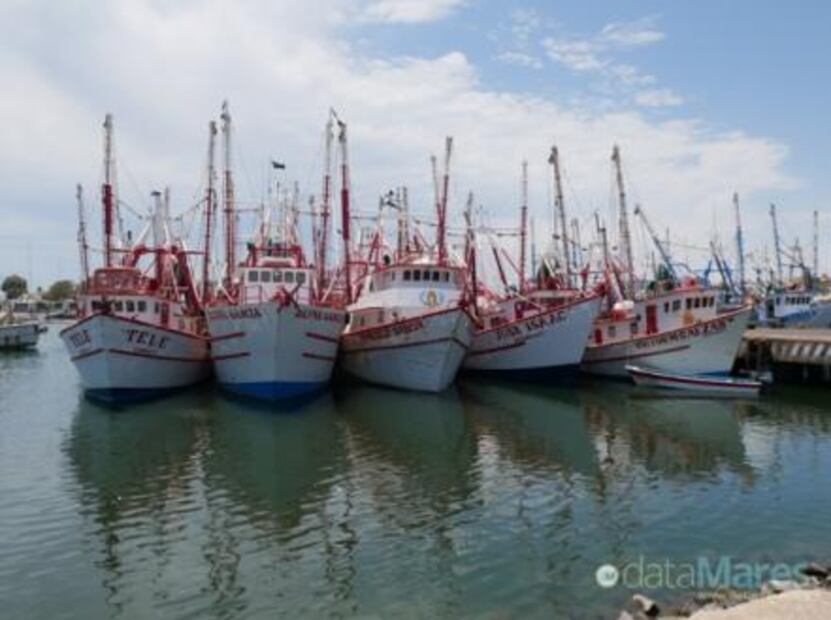 Northwestern states receive 66% of total fishing subsidies in Mexico