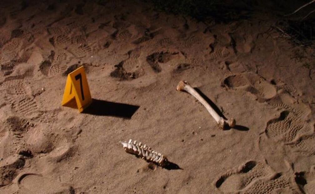 Suman siete cuerpos encontrados en distintas fosas clandestinas de Culiacán, Sinaloa. Foto: Archivo EL UNIVERSAL