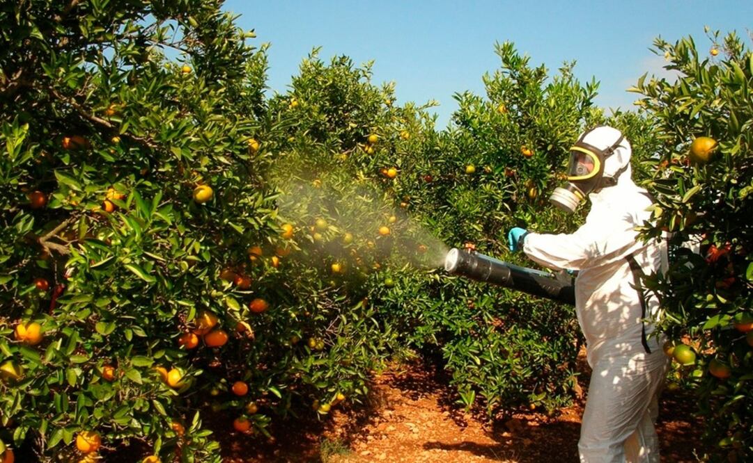 Foto: cortesía Secretaría de Salud del Estado