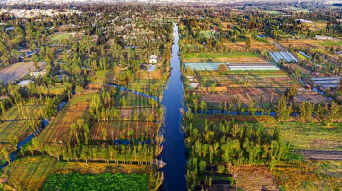 Xochimilco: posada, tour navideño y comida en una chinampa