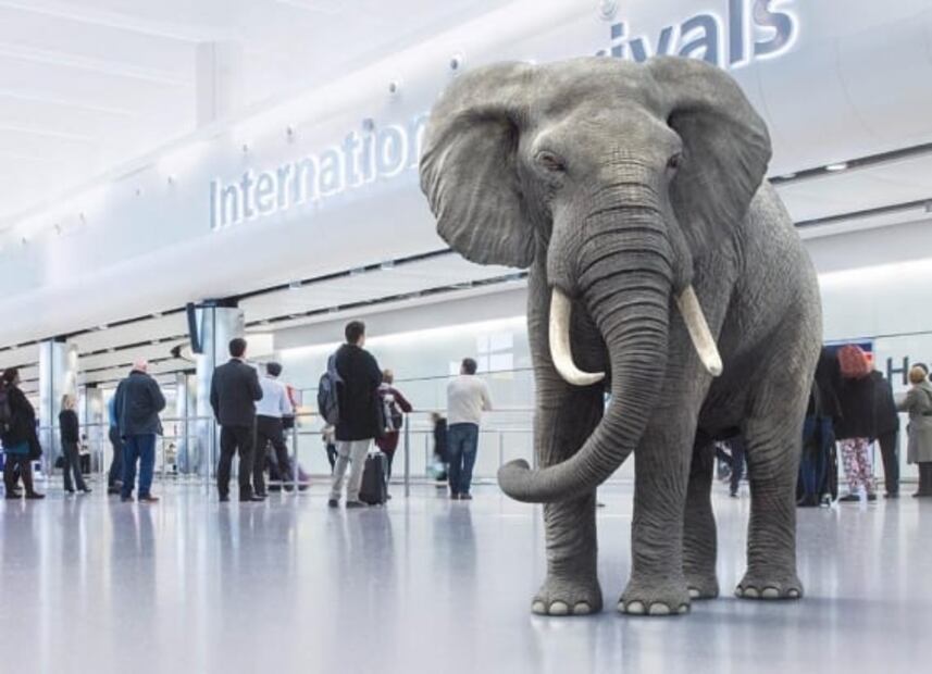 Dónde está el mejor aeropuerto del mundo de 2021