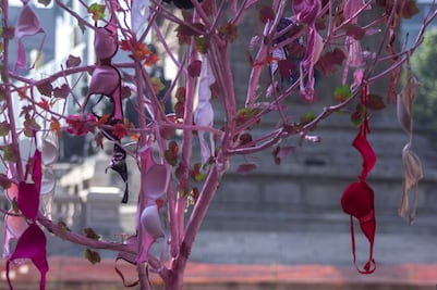 Mueren 15 mexicanas por cáncer de mama cada día: Incan