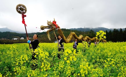 Llegada de la primavera favorece el estado de ánimo 