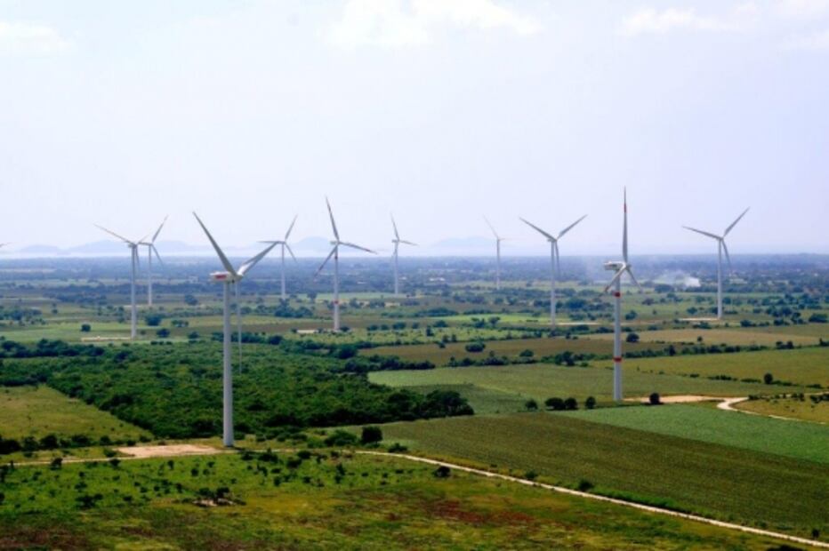 El camino de una empresa verde y rentable