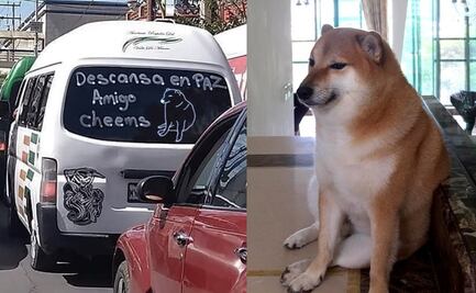 La particular despedida de un chofer de combi a "Cheems", perrito viral de los memes