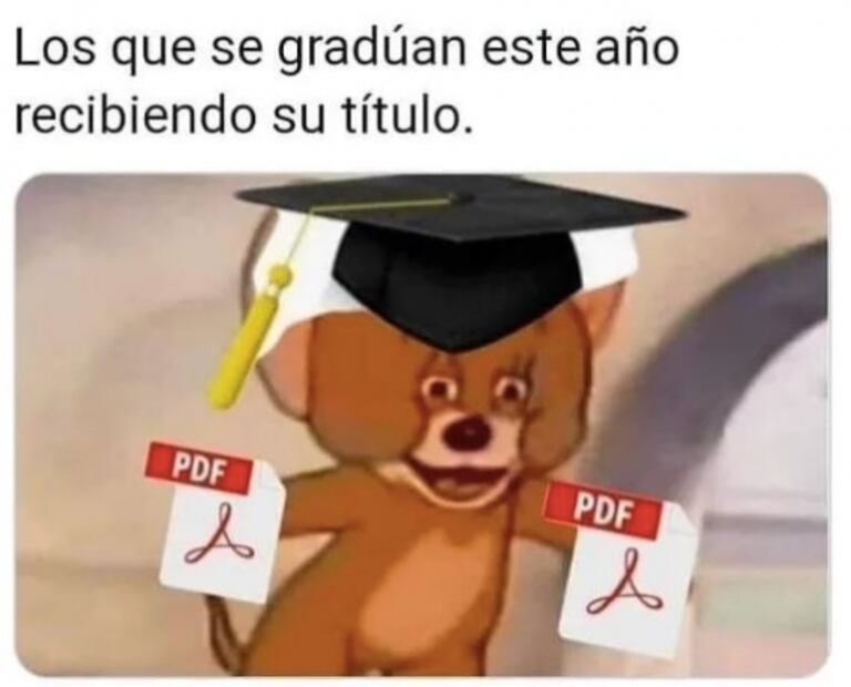 Instagram 2020: el año en memes