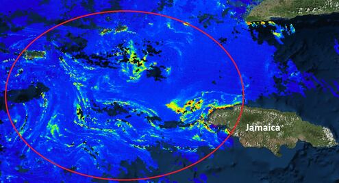 Mancha de sargazo amenaza costas de Quintana Roo