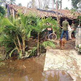 “No nos dejen solos... no habían venido a vernos”