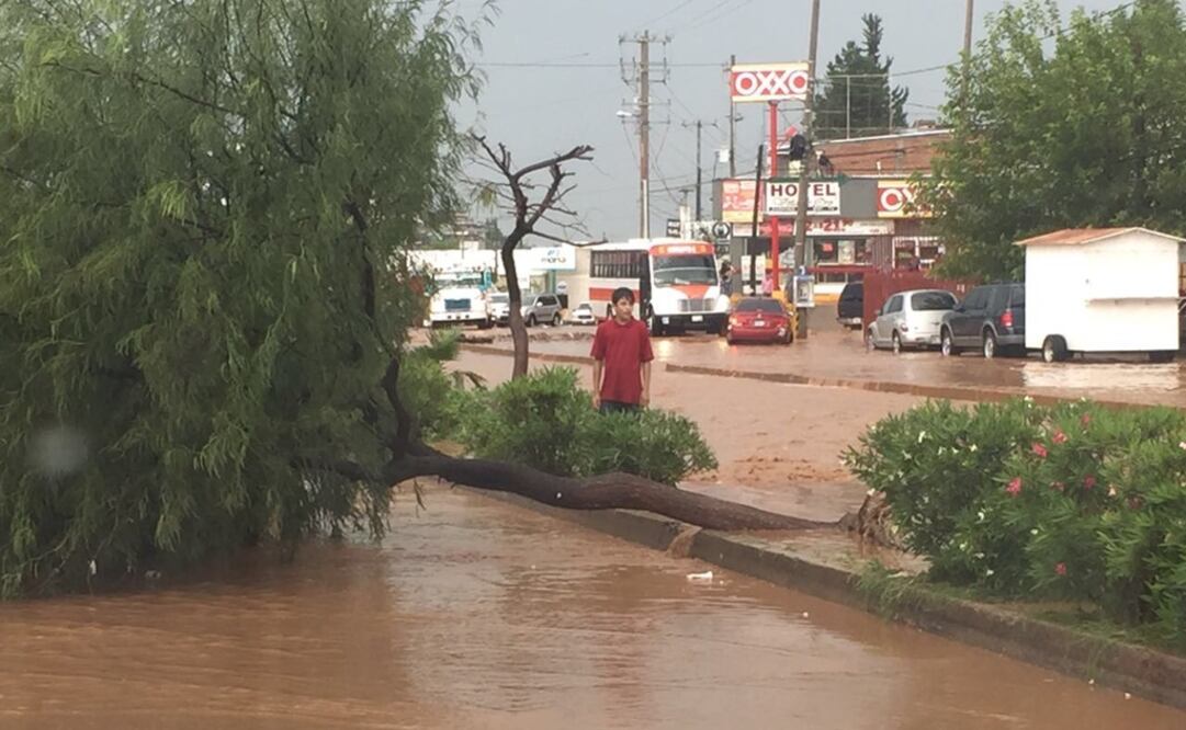 (Foto: Amalia Escobar/El Universal)