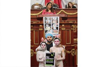 PVEM busca en Congreso local prohibir experimentación con animales