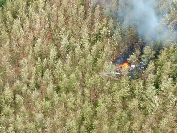 Video. Avioneta explotó tras despegue en Costa Rica