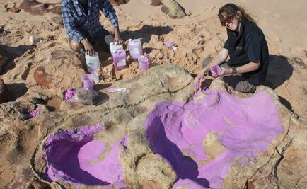 Una autopista suiza escondía las huellas de grandes dinosaurios carnívoros