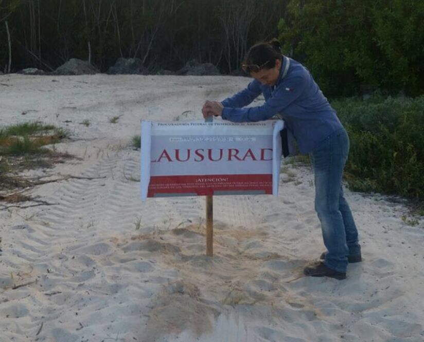 Foto: cortesía Profepa