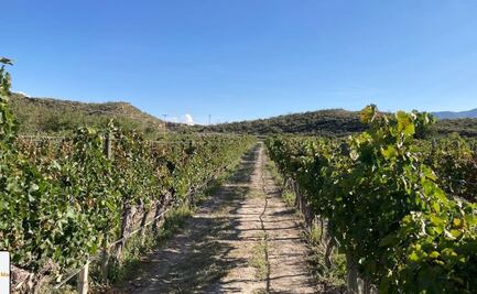 Liberan parte de instalaciones de Casa Madero, en medio de conflictos por agua en Coahuila