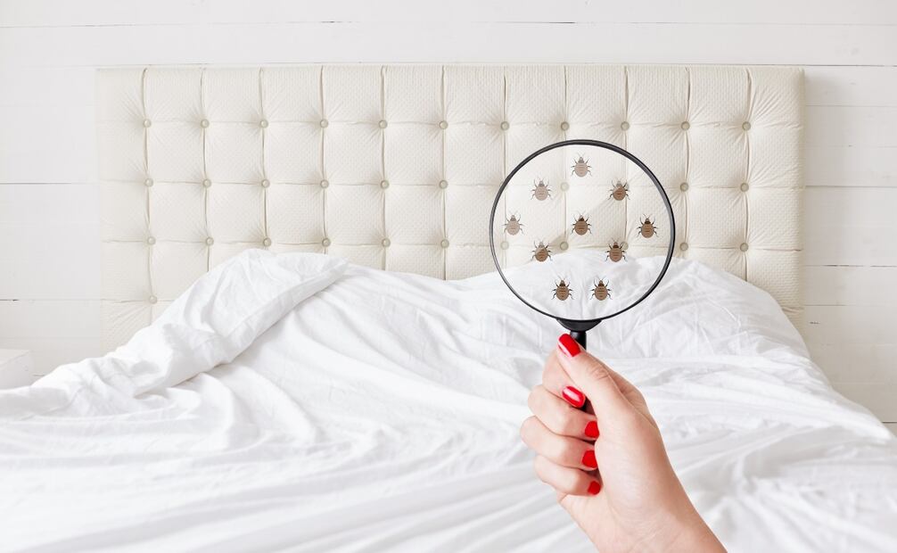 Foto: iStock