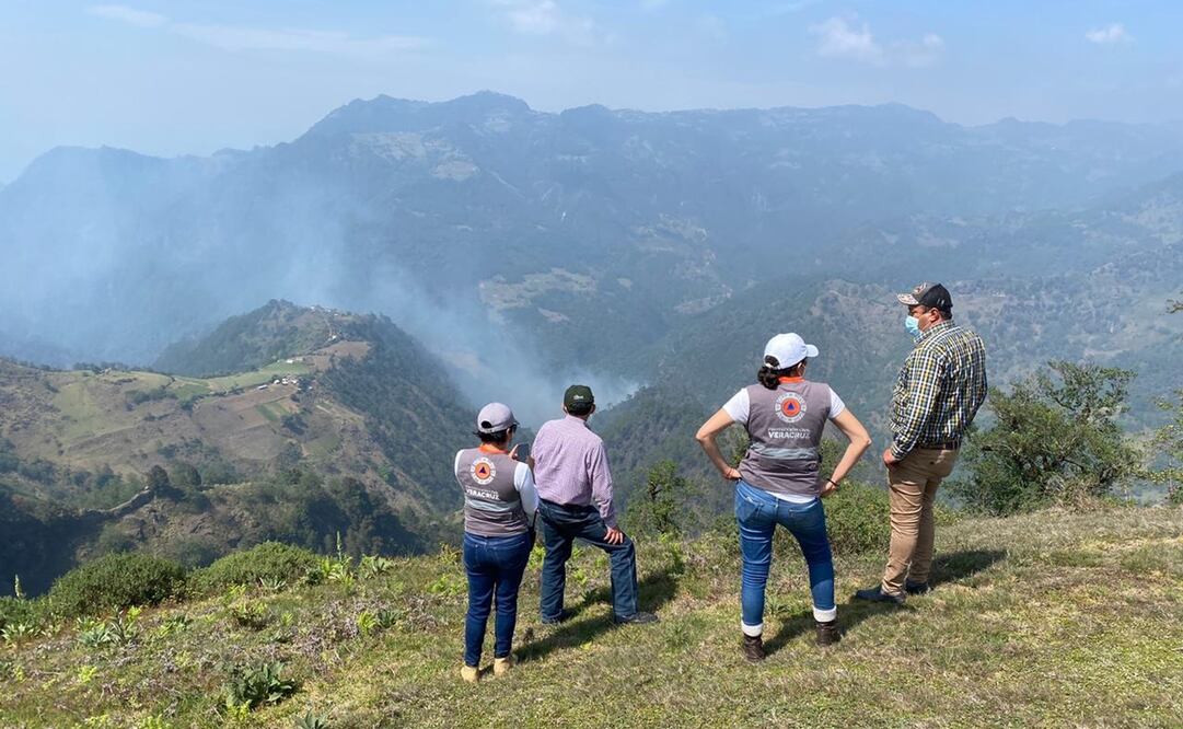 Hasta ahora, la Fuerza de Tarea reporta 65% de control y 40 de liquidación. Foto: Especial 