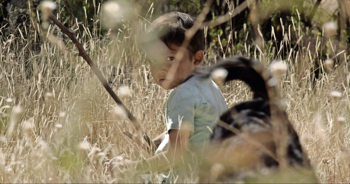 "Sujo" aborda la historia del hijo de un sicario asesinado; este año cosechó el Premio del Jurado del Festival de Cine Sundance. Foto: Pimienta Films