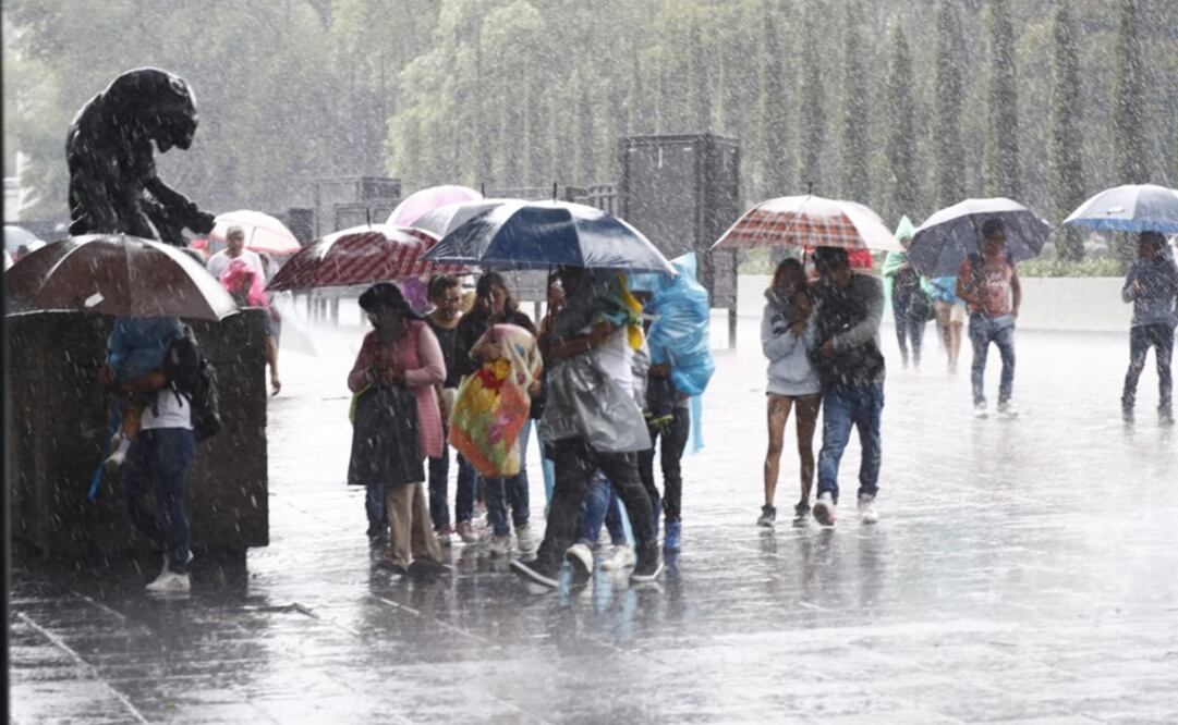Familias caminan bajo la lluvia en las inmediaciones del bosque de Chapultepec (Foto: Yadín Xolalpa / EL UNIVERSAL)