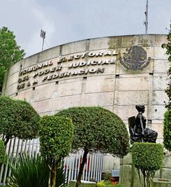 AMLO vulneró el principio de equidad: Tribunal