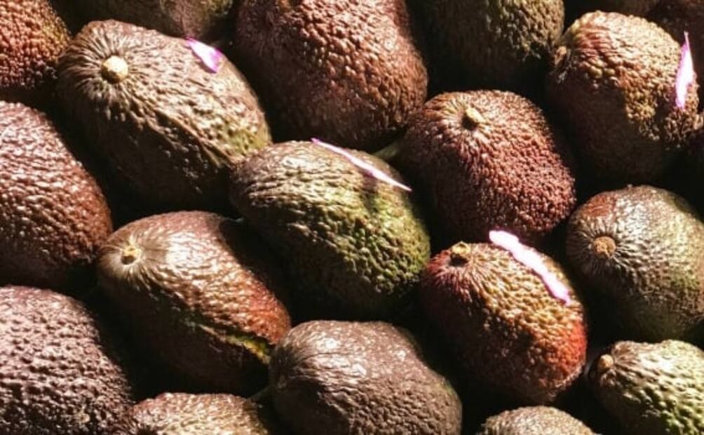 Esto es lo que pasa si comes aguacate todos los días
