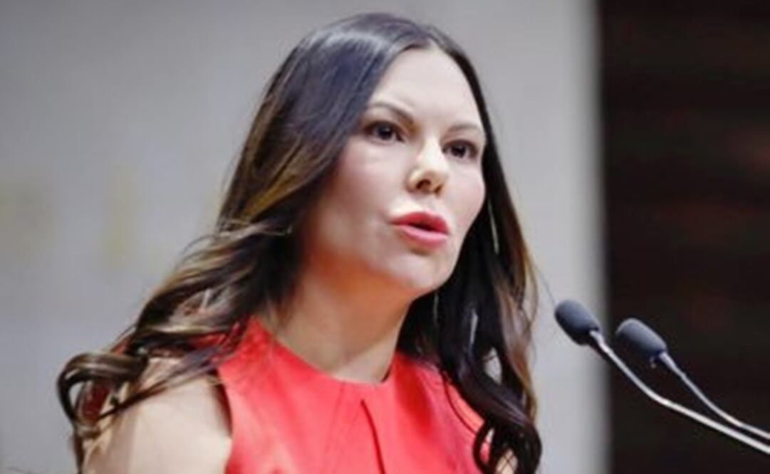 La diputada panista, Laura Rojas. Foto: Especial