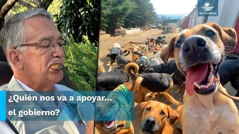  Ricardo Salinas Pliego donará 100 mil pesos en contra del maltrato animal