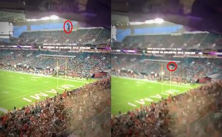 VIDEO: Aficionados evitan la muerte de un gato en pleno partido de futbol americano