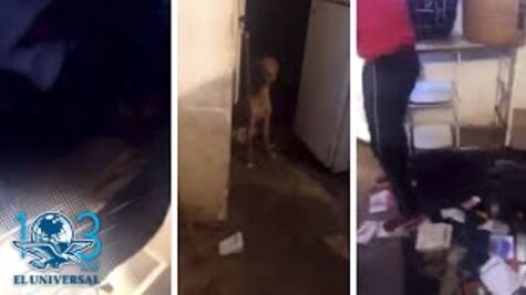 Denuncian a mujer por presuntamente comer y vender carne de perro y gato en Puebla